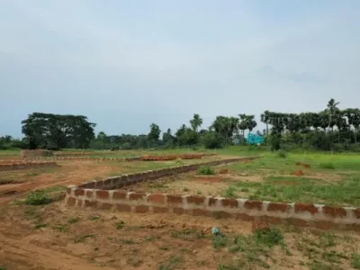 811480345M-1786034198337